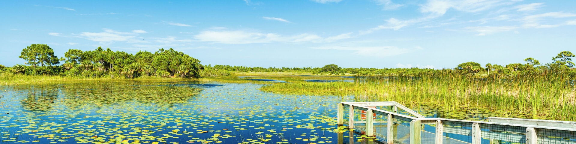Beautiful nature preserve in Port Saint Lucie Florida.