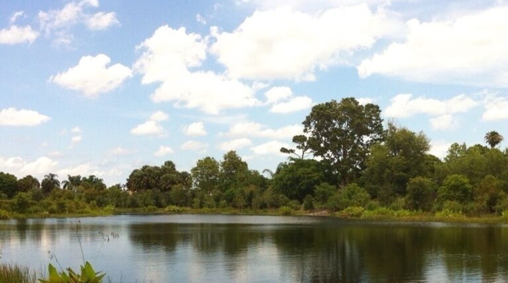 A serene look at the east lake in walton. West view.