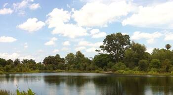 A serene look at the east lake in walton. West view.