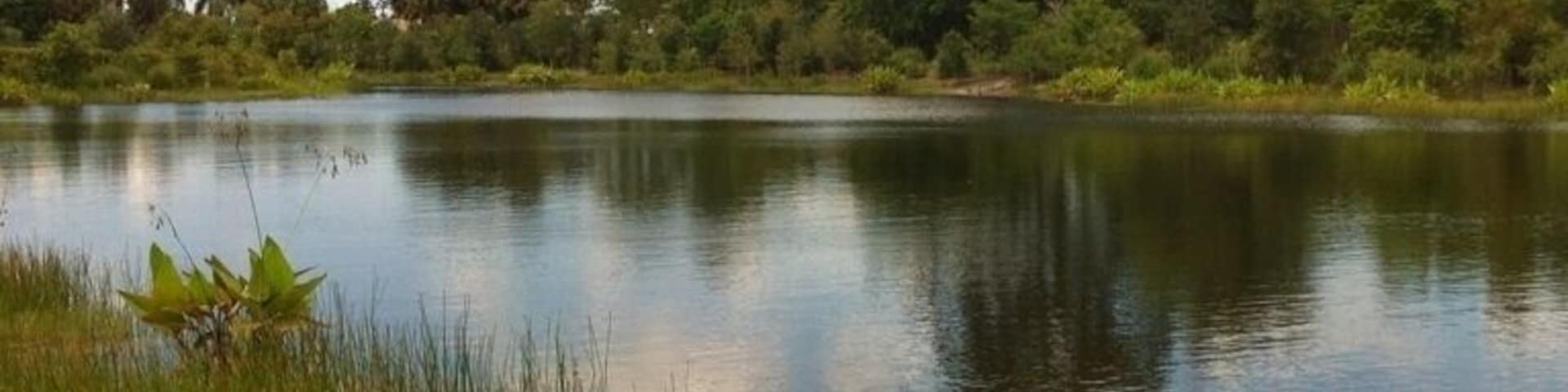 A serene look at the east lake in walton. West view.
