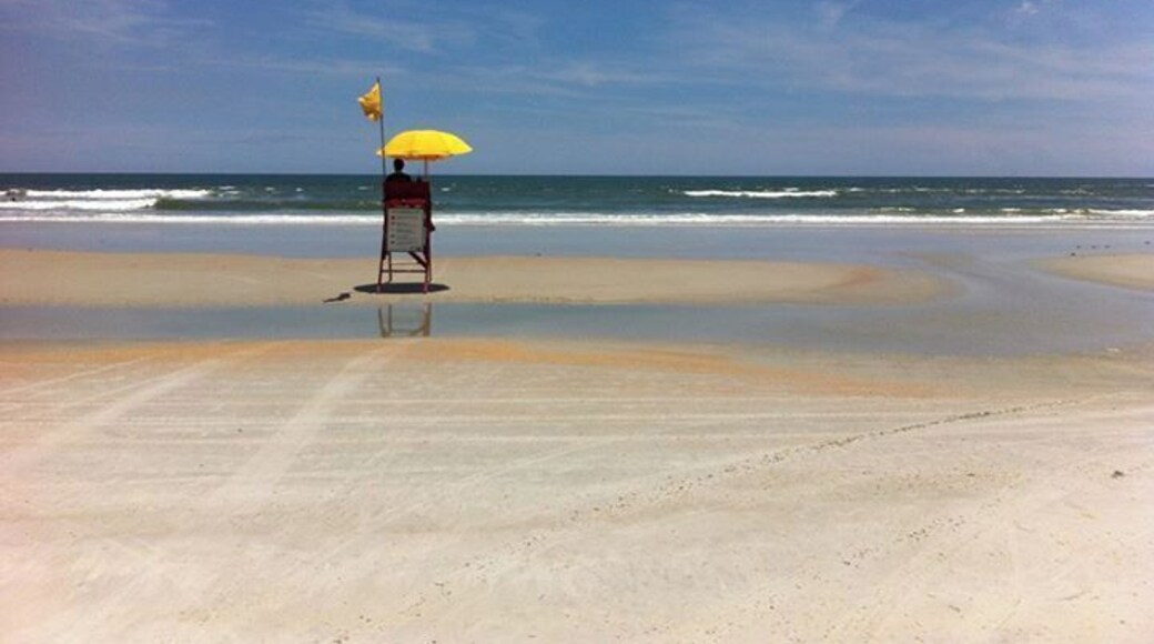 A beautiful beach with lifeguards, turtles and that's it!