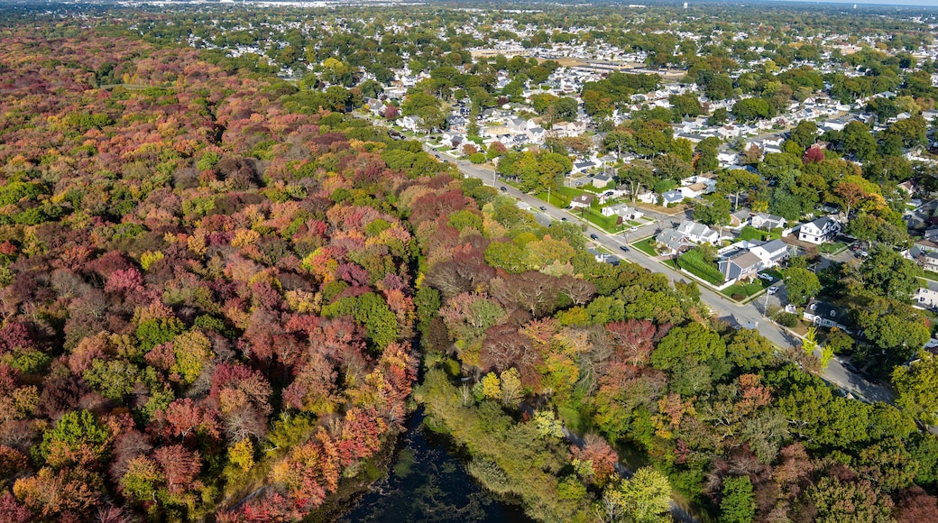 マサピーカ パーク