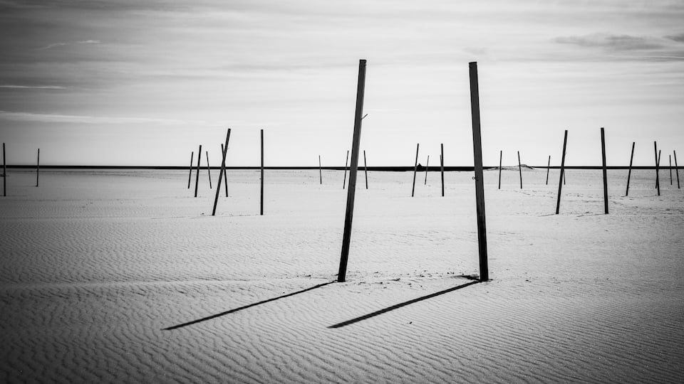 A sandy beach with wooden posts.
