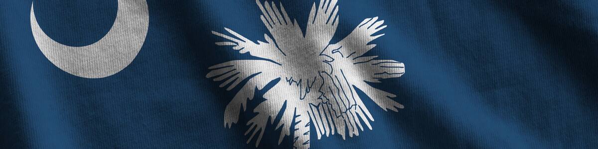 South Carolina US state flag with big folds waving close up under the studio light indoors. The official symbols and colors in fabric banner
