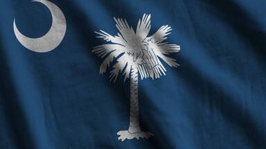 South Carolina US state flag with big folds waving close up under the studio light indoors. The official symbols and colors in fabric banner