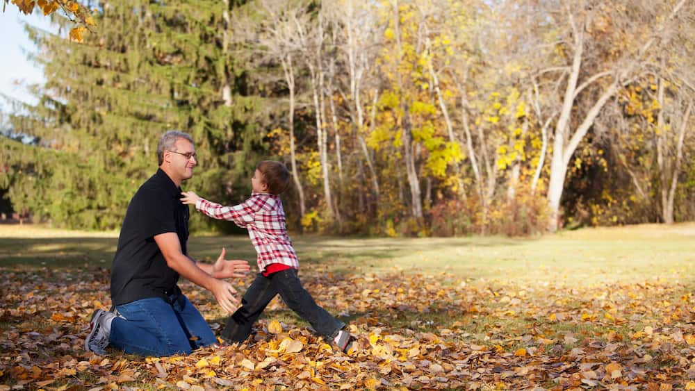 Grandfather and grandson playing in a park in autumn; Edmonton, alberta, canada