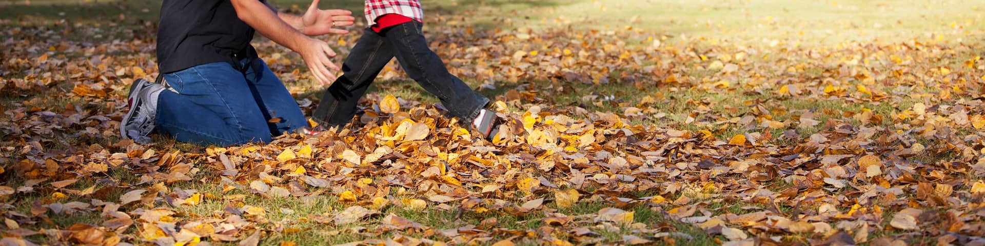 Grandfather and grandson playing in a park in autumn; Edmonton, alberta, canada