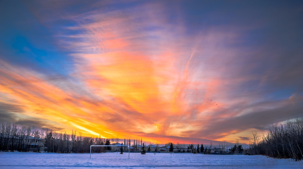 Radial sunset, Edmonton, Alberta