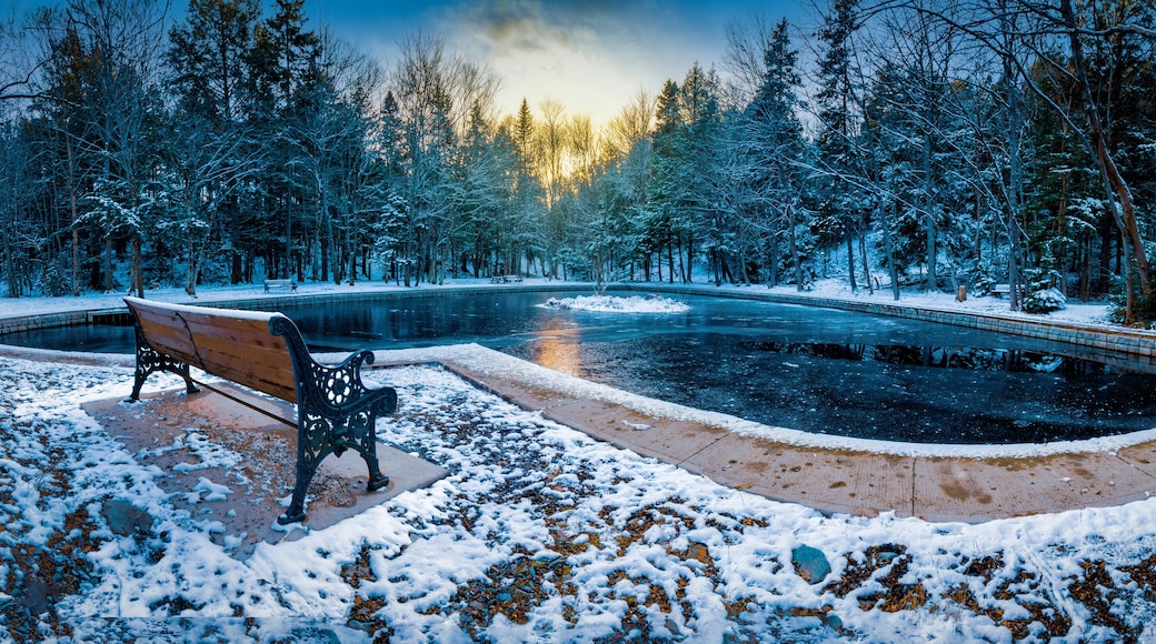 Lonely Moment at Heart Shaped Pond - The cold weather has arrived, the hardwood trees no longer have foliage, ducks have left the pond and the bench is empty. Loneliness is a rarity at the pond.