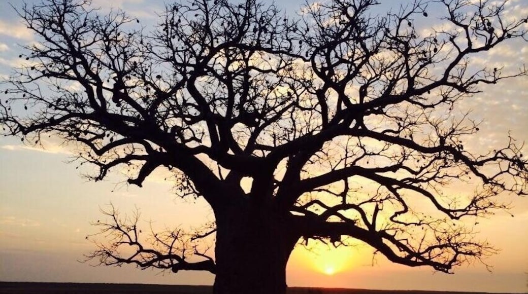Friends pics she is working as a councillor for immigrant centre #ColleenLovelock#abandoned