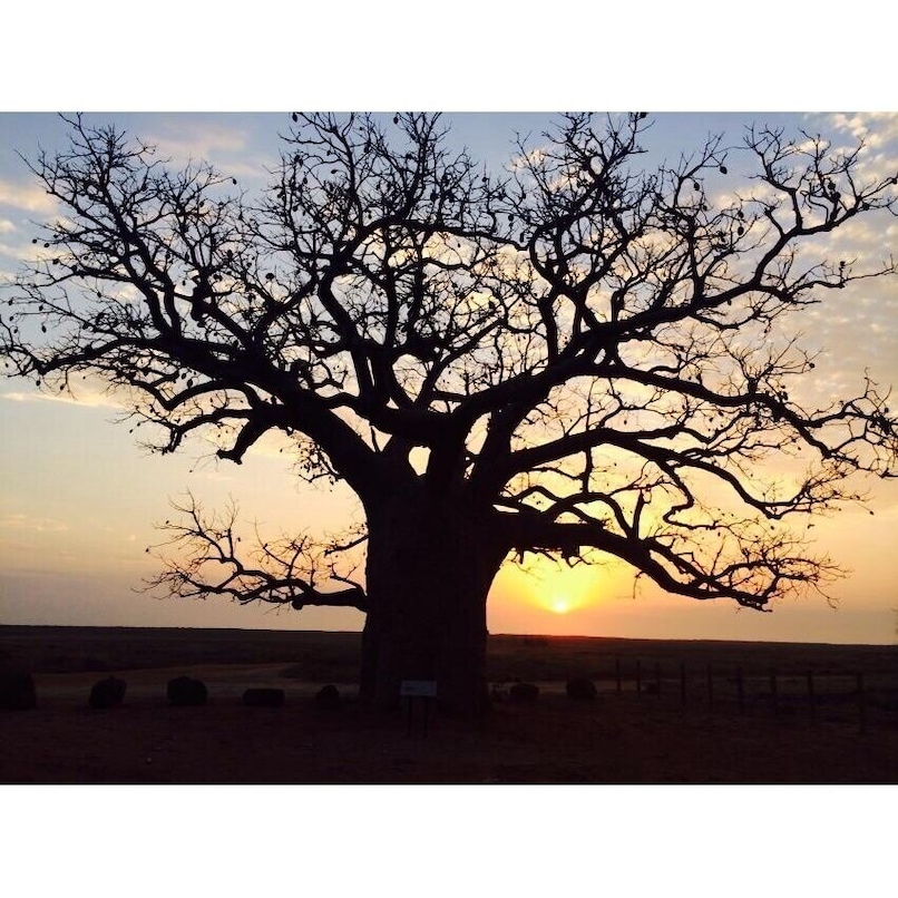 Friends pics she is working as a councillor for immigrant centre #ColleenLovelock#abandoned