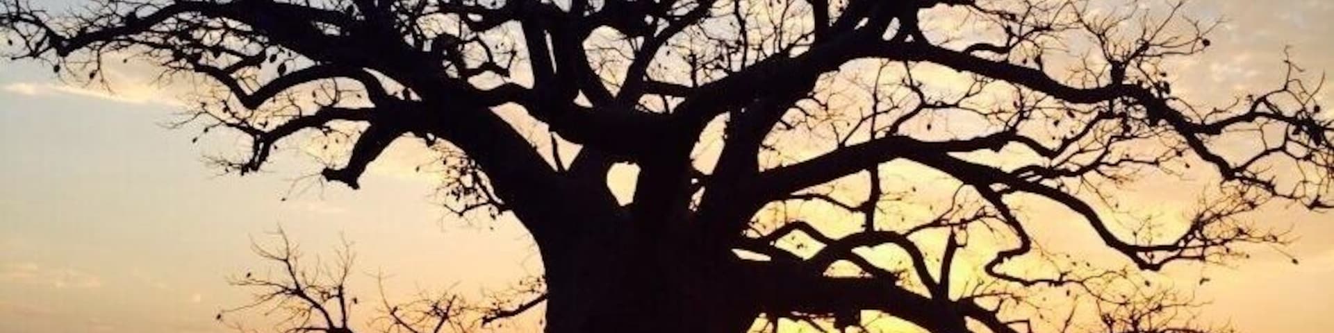 Friends pics she is working as a councillor for immigrant centre #ColleenLovelock#abandoned