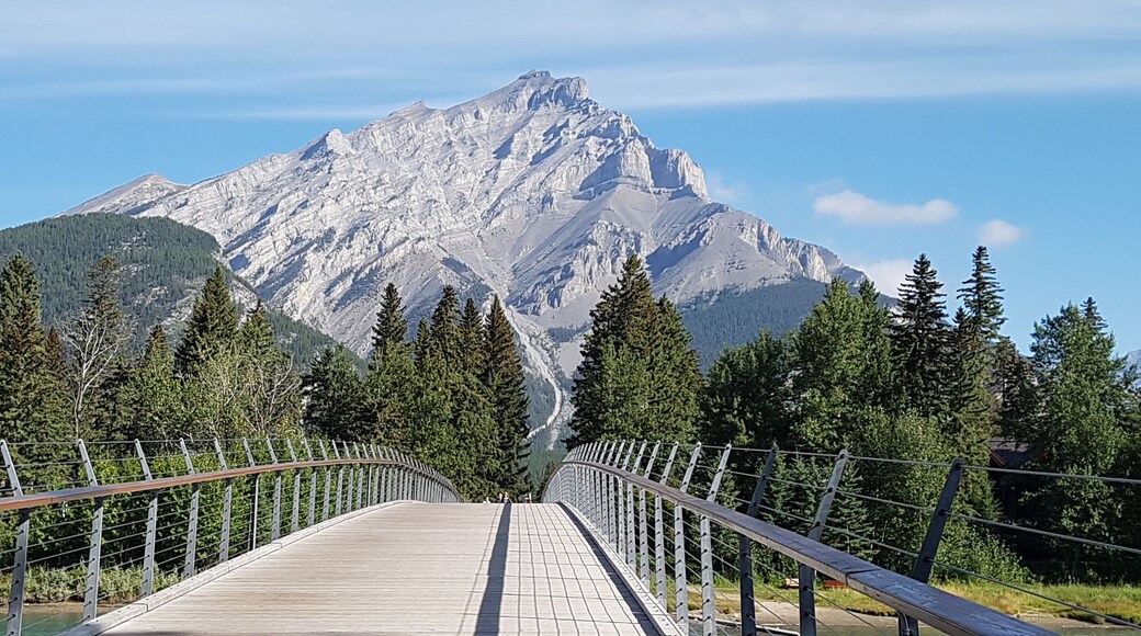 Such a stunning view. The beauty around Banff was breath taking