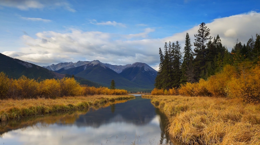 Vermillion Lakes in Banff is a great spot for some shots or to just enjoy the view.