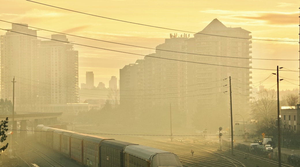 Somewhere in New Westminster where near Quay Trail ends. I was kinda hoping to see a flock of birds flying over the train tracks but didn’t happen the way I wanted it to be so I moved on - might try again later.