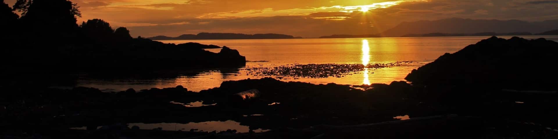 Life hack; make friends with people who live on islands