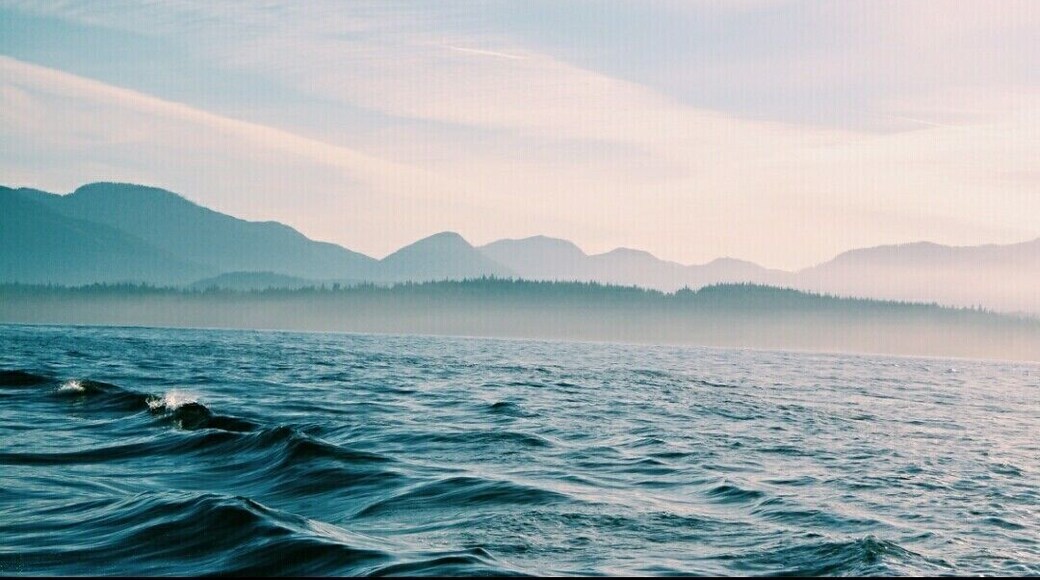 Morning fog clearing up. A must visit place.