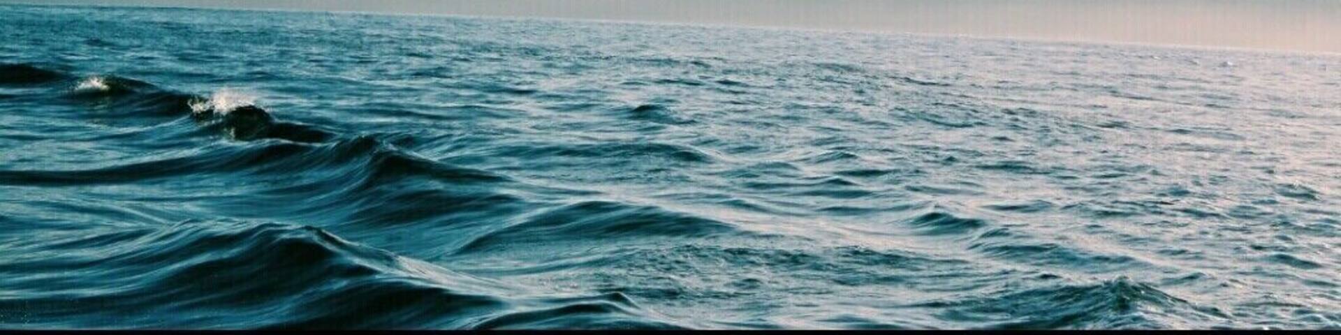 Morning fog clearing up. A must visit place.