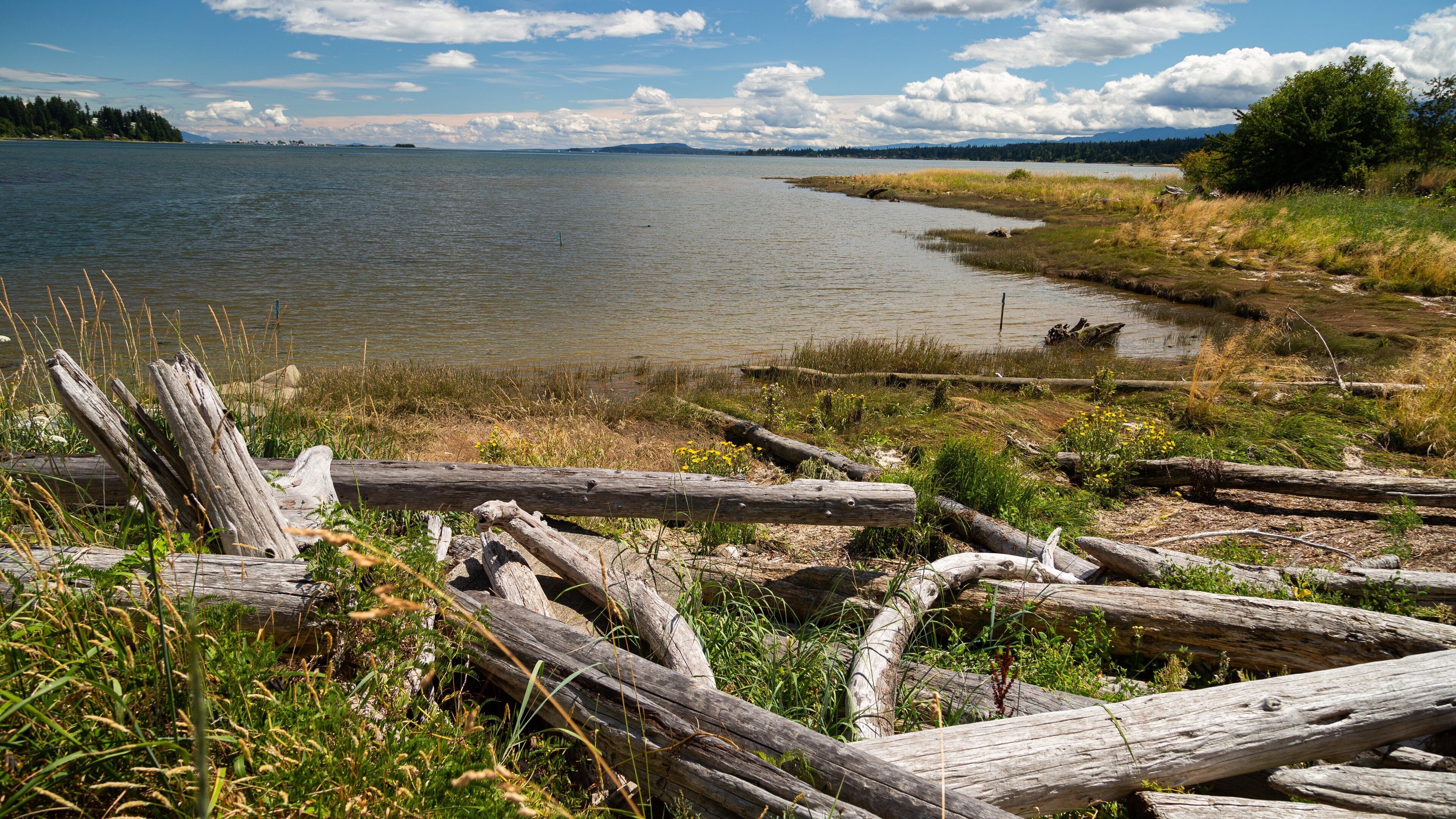 Un lago con una valla de madera al frente y una orilla boscosa al fondo.