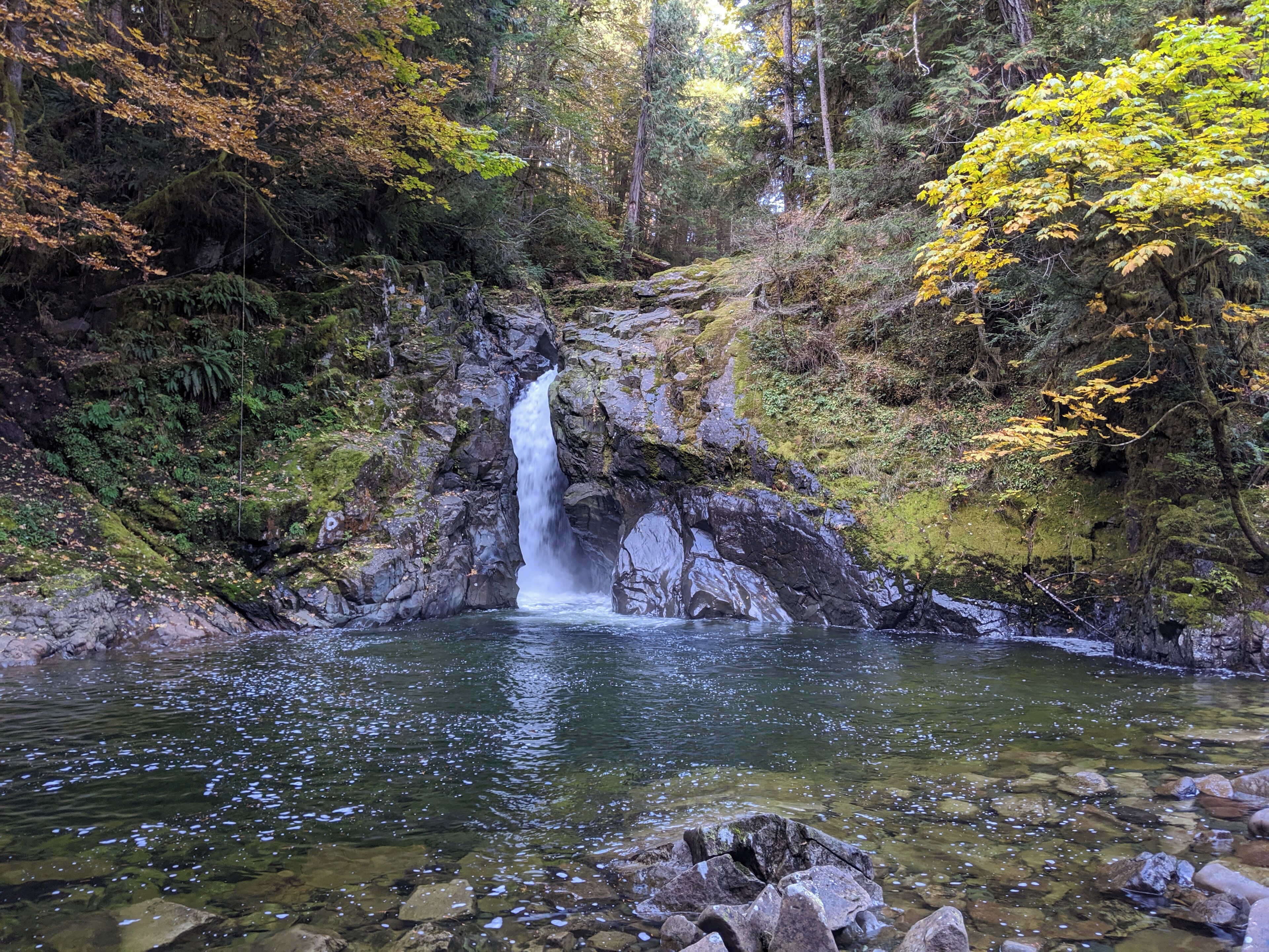 A waterfall in a forested area with clear water and surrounding greenery.