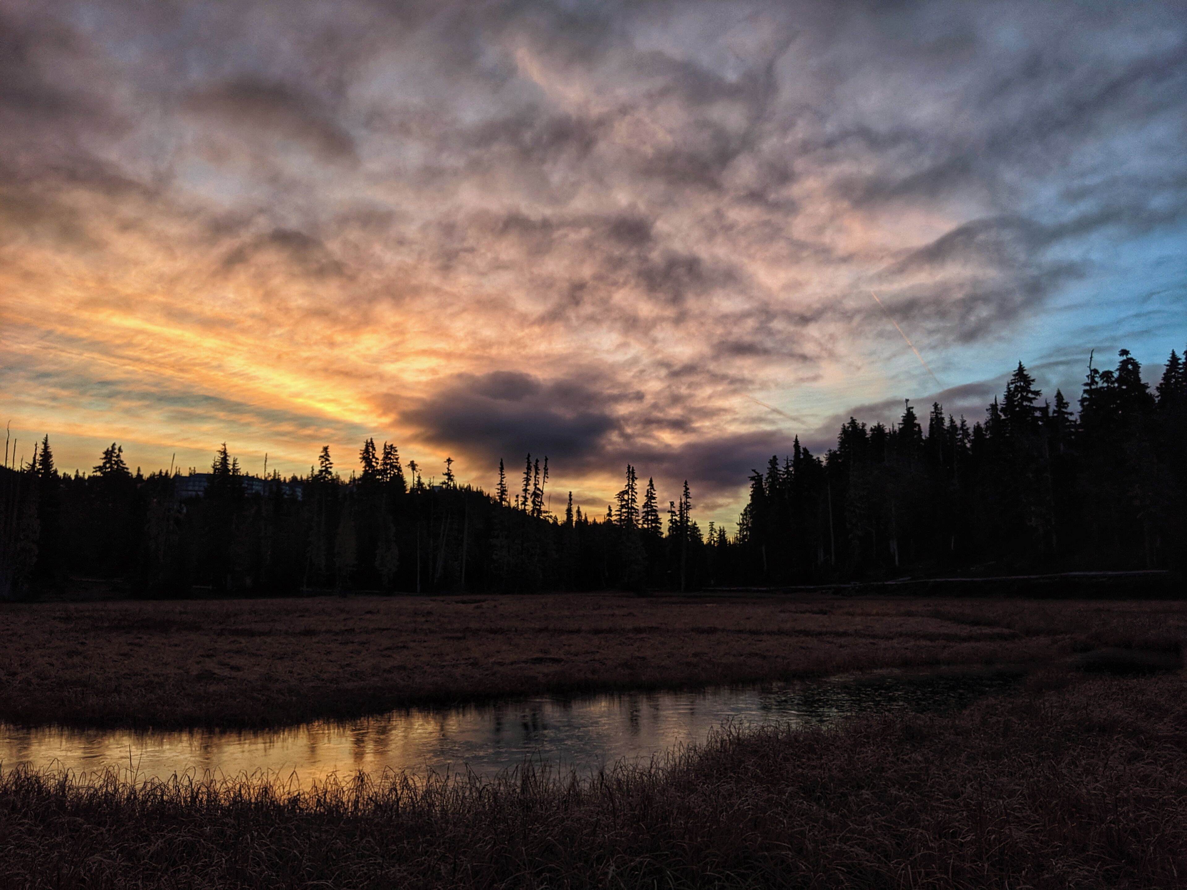 Early morning at Paradise Meadows trails starts at Raven lodge mount Washington very easy walk all boardwalk.