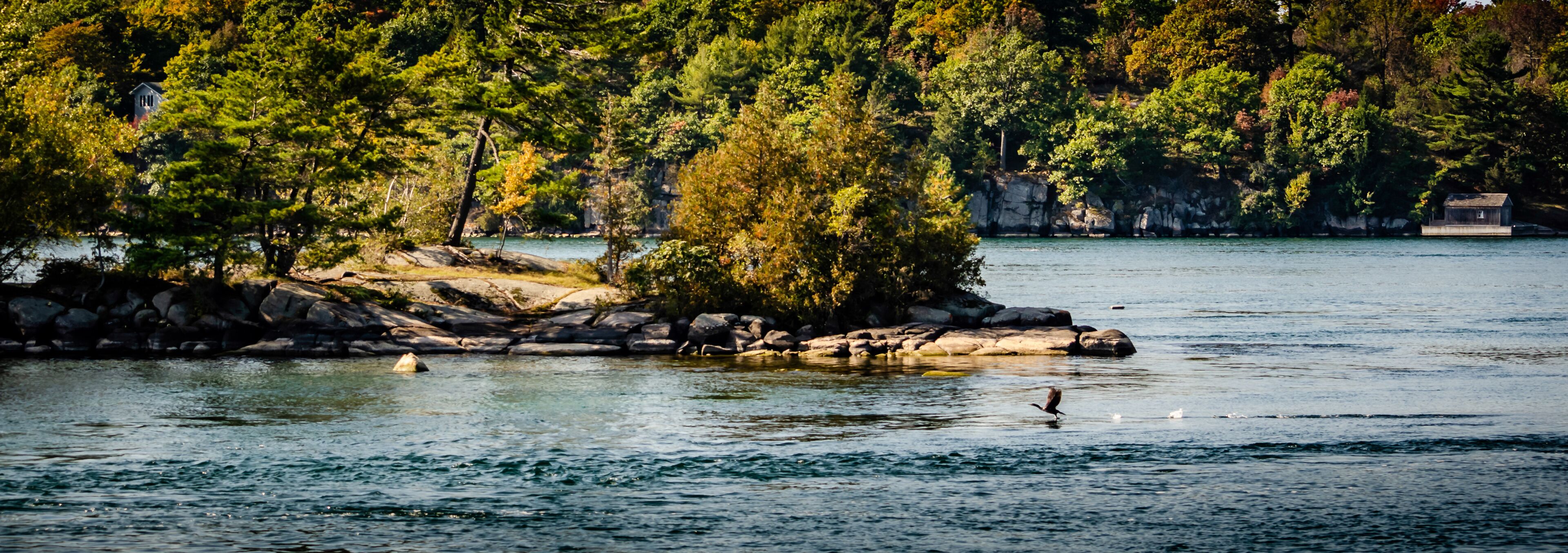 A calm lake with a rocky shore, surrounded by dense trees and a small building.