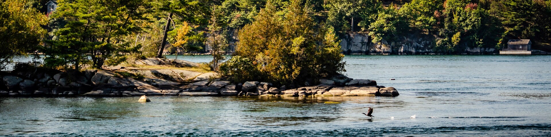A calm lake with a rocky shore, surrounded by dense trees and a small building.
