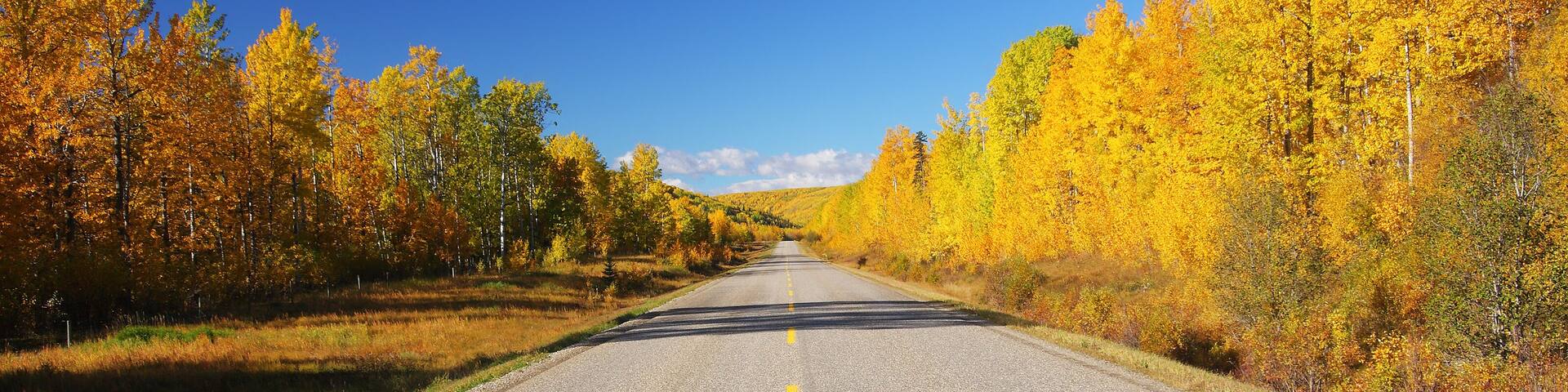 A road trip through autumn colors.