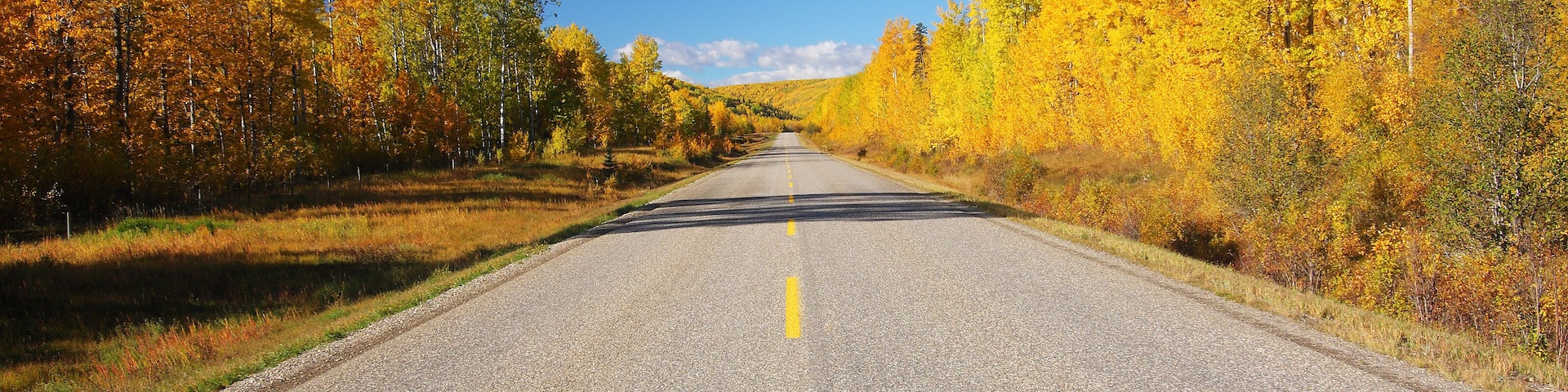 A road trip through autumn colors.