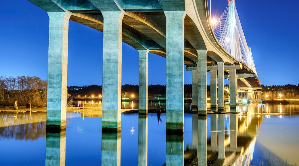 ๋ฆฌ์น๋จผ๋