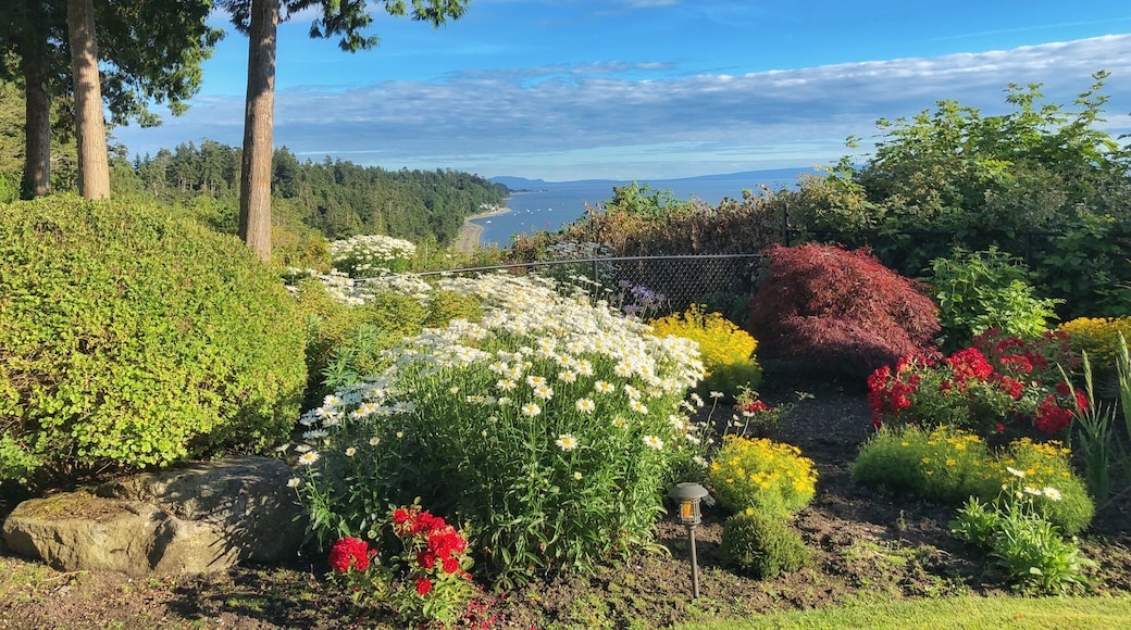 The view at our family reunion