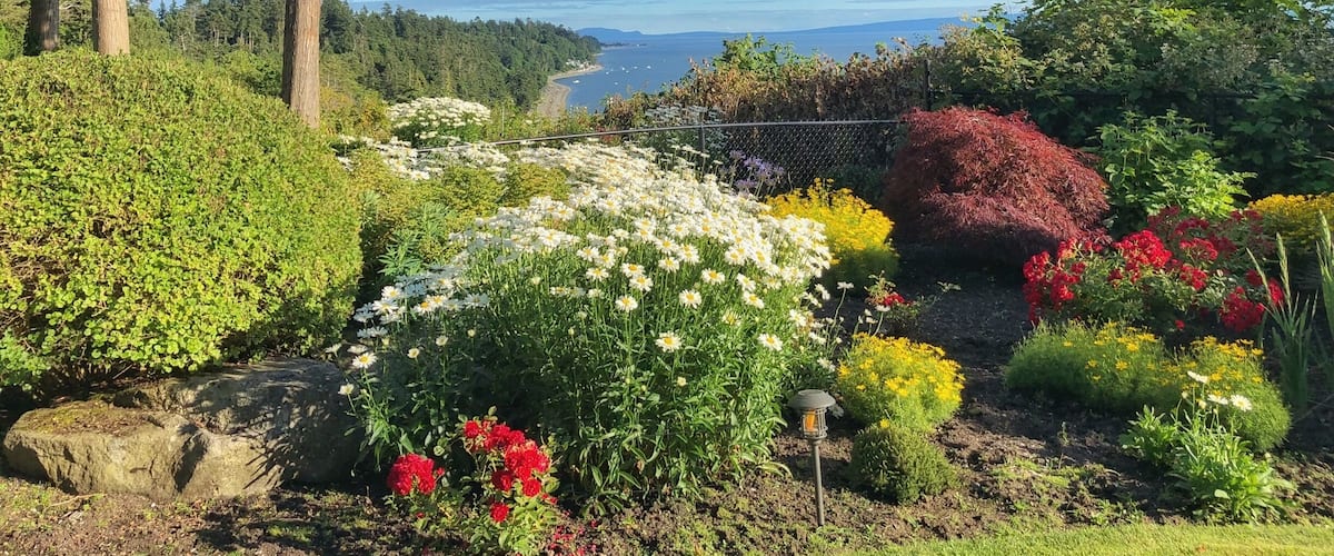 The view at our family reunion