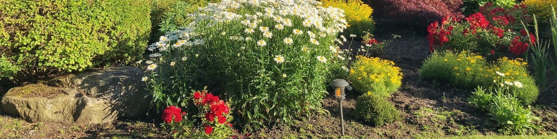 The view at our family reunion