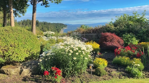 The view at our family reunion