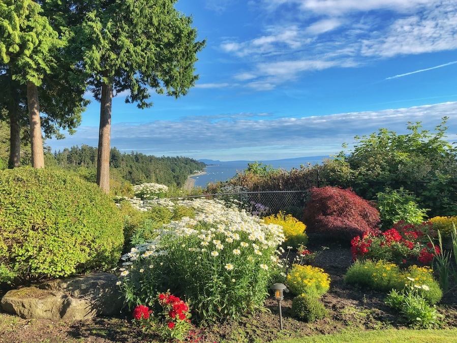 The view at our family reunion