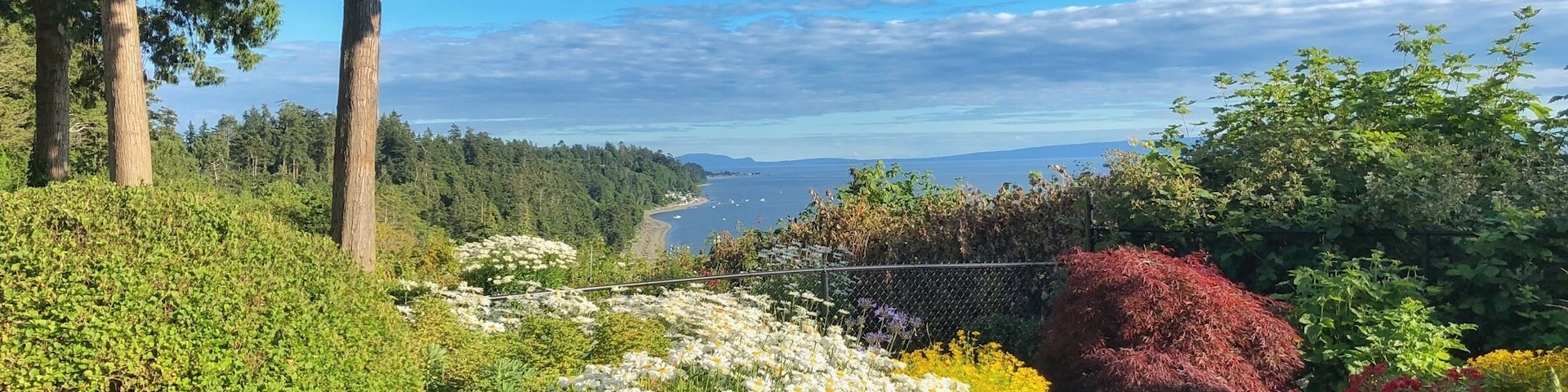 The view at our family reunion