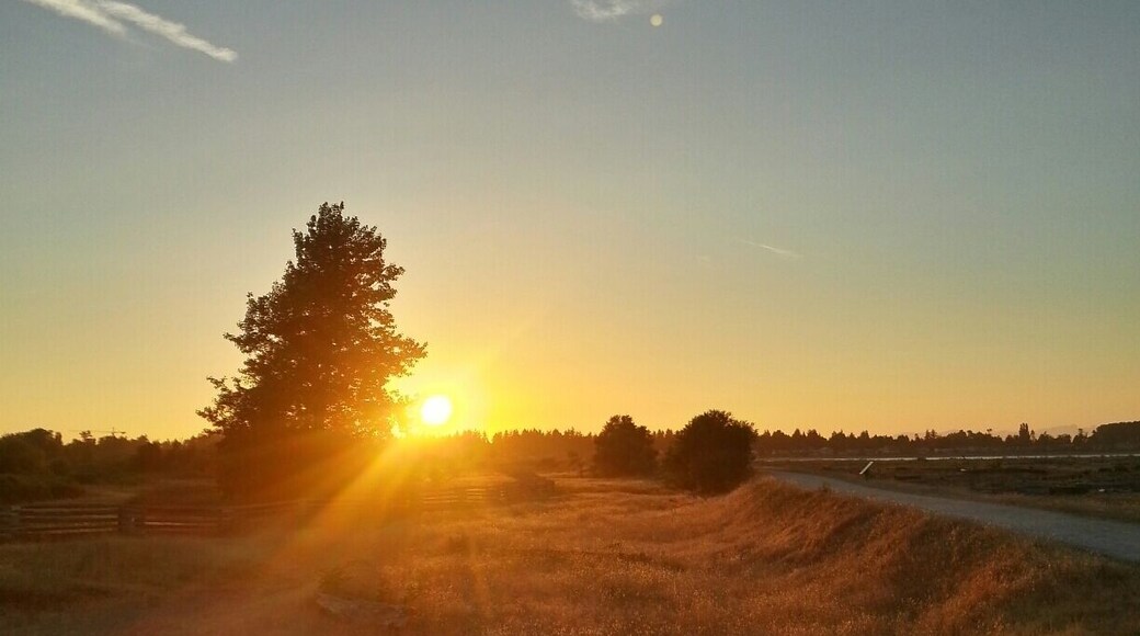 #goldenhour
Sunset along the Raptor trail at Boundary Bay Regional Park.
Luckily we didn't come across any raptors.