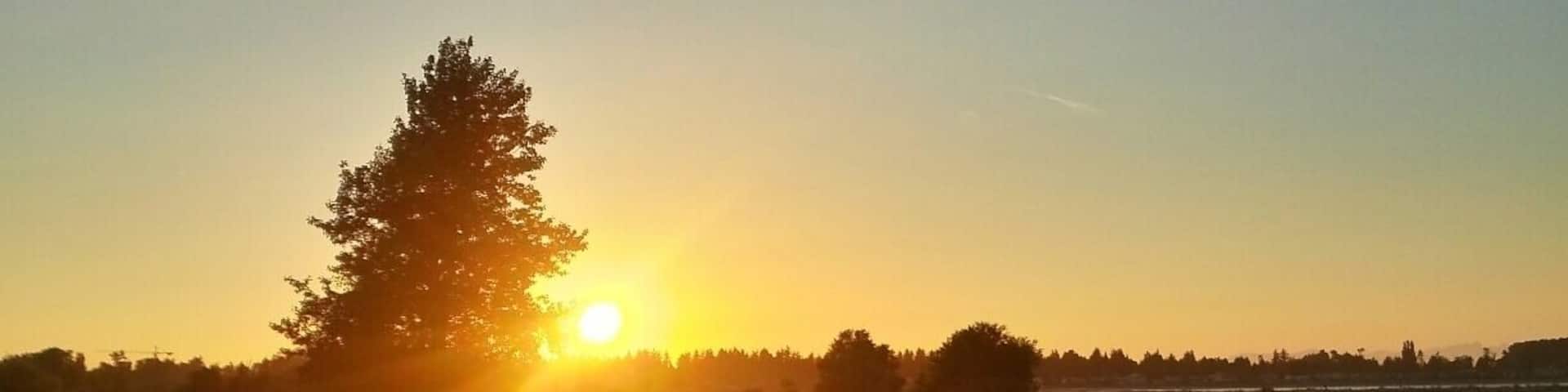 #goldenhour
Sunset along the Raptor trail at Boundary Bay Regional Park.
Luckily we didn't come across any raptors.