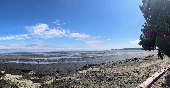 piy stop before checking into my airbnb 🌺🦋 #vancouver