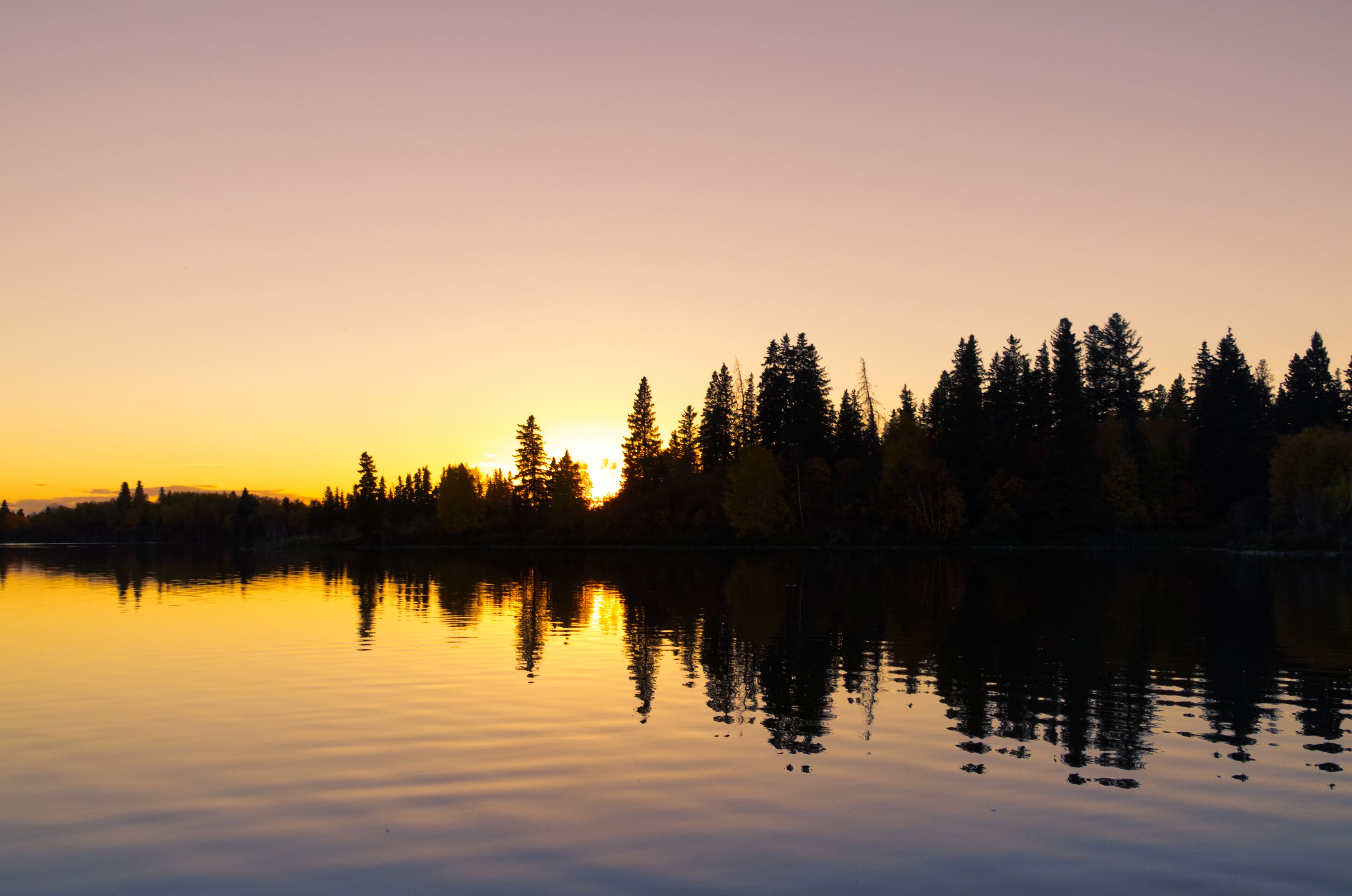 Un lac paisible au coucher du soleil, avec des arbres qui se reflètent dans le ciel.