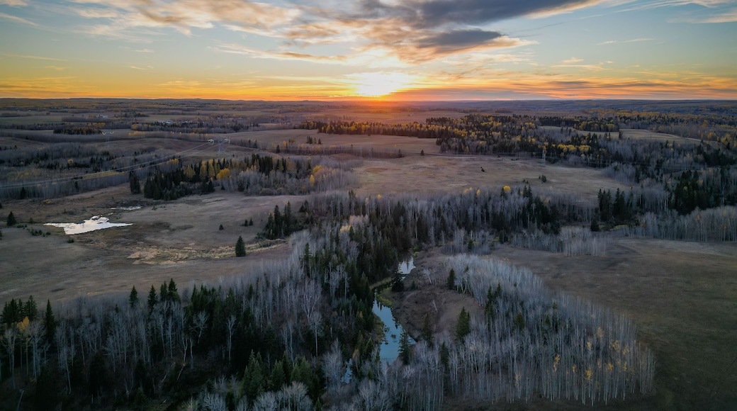 Un paisaje extenso con un río, un bosque denso y un atardecer.