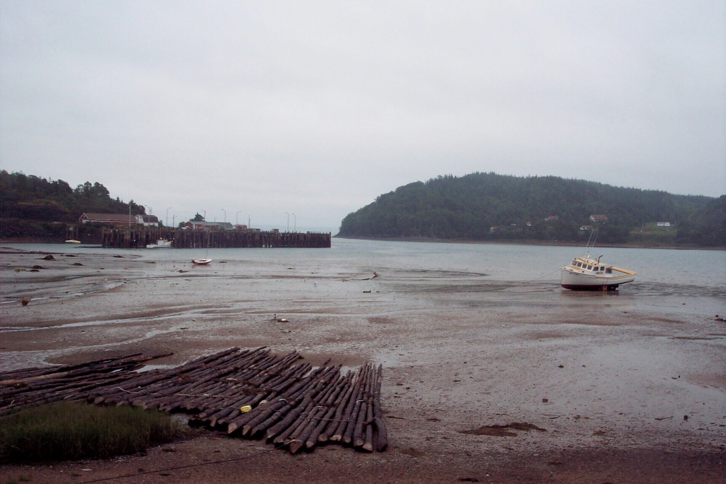 This is the middle of summer and the mud flats near Digby are bleak. However, the scallops are magnificent. #Maritimes