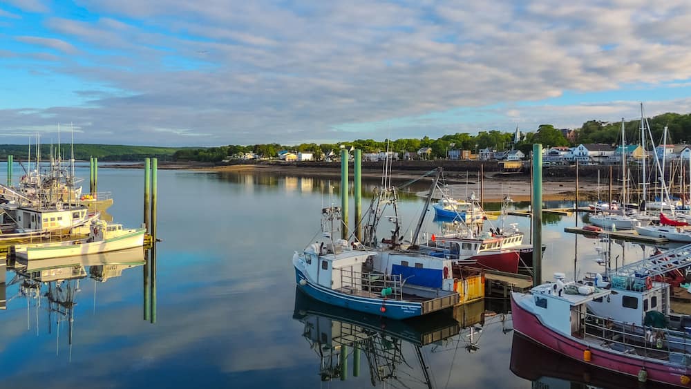 A marina with various boats docked, a calm water body, and a town in the background.