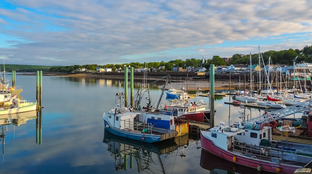 Boats in the harbour at low tide in Digby, Nova Scotia. Nova Scotia summer, late afternoon with evening approaching. Boats tied up in low tide, in for the day. Sunshine on calm coastal water.