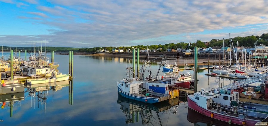 Boats in the harbour at low tide in Digby, Nova Scotia. Nova Scotia summer, late afternoon with evening approaching. Boats tied up in low tide, in for the day. Sunshine on calm coastal water.