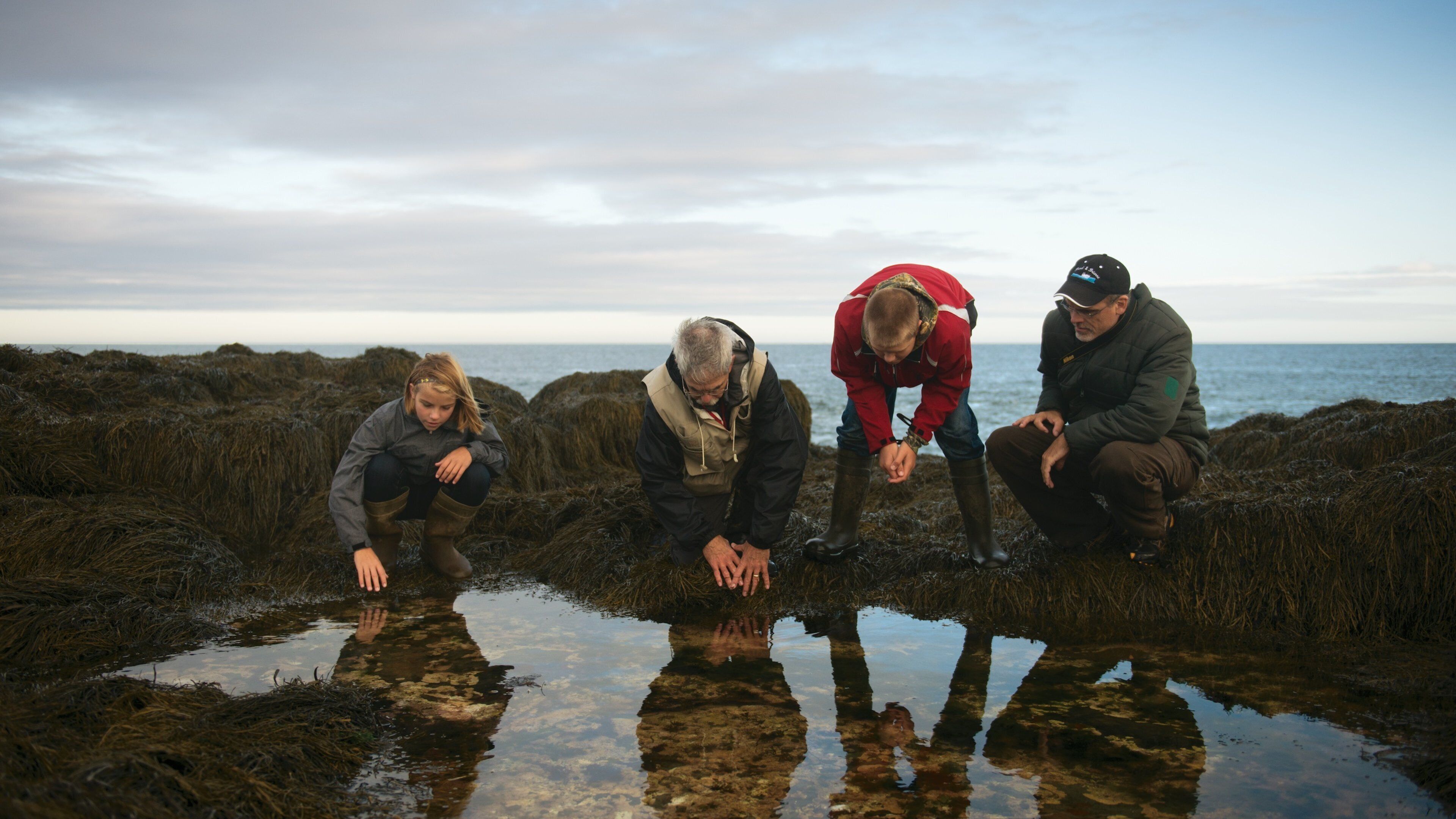 Digby which includes general coastal views as well as a family