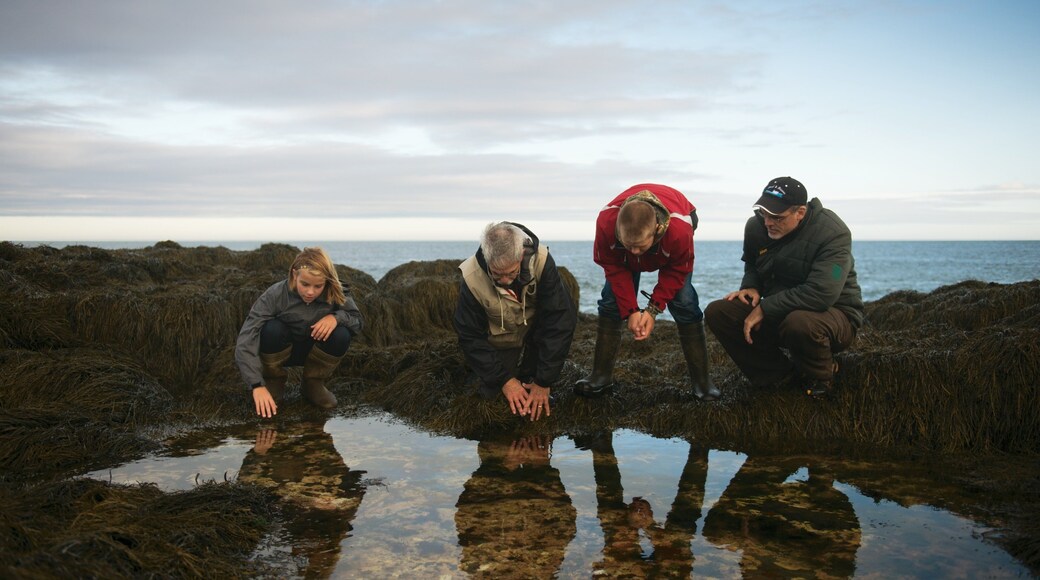 Digby which includes general coastal views as well as a family