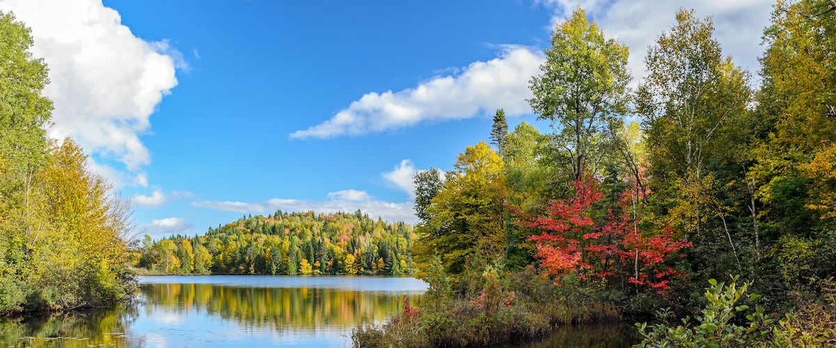 A calm lake surrounded by autumn-colored trees and a clear blue sky.