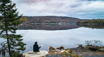 Morning reflections with coffee, Sherbrooke, NS