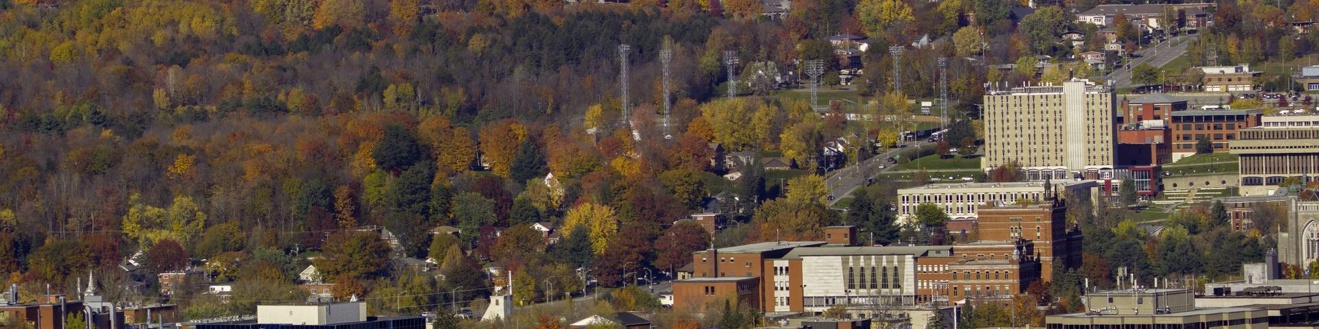 A cityscape with autumn foliage, a mix of modern and traditional architecture, and a prominent building with a unique facade.